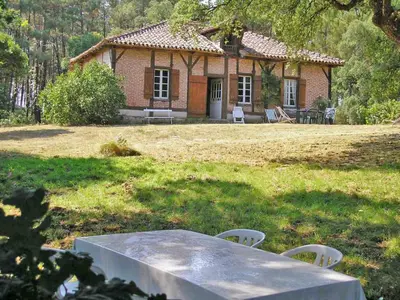 Jardin de l'établissement Holiday Home Hollebarde by Interhome