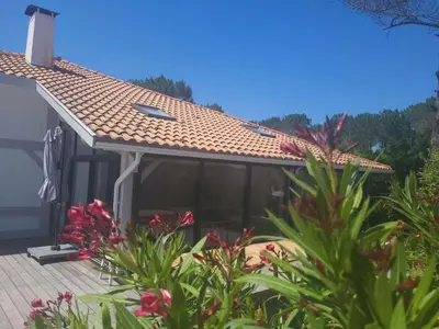 Jardin de l'établissement Biscarrosse Plage Villa avec piscine pour 12 personnes