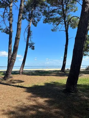 Paysage naturel près de la maison de vacances