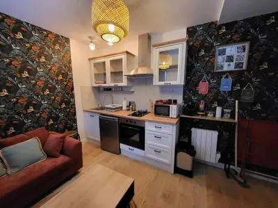 Cuisine ou kitchenette dans l'établissement Appartement Domaine du Bost