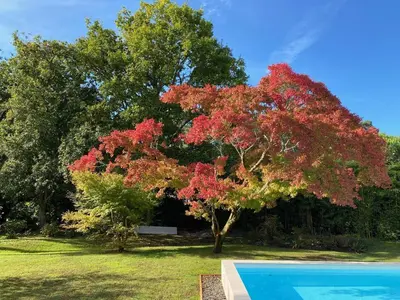 Piscine de l'établissement Villa BARADARENA avec piscine chauffée et jardin pour 10 personnes ou située à proximité