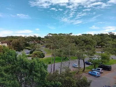 Plan de l'établissement Appartement T2 à Seignosse, tout à pied, proche plage et commerces - FR-1-239-1062