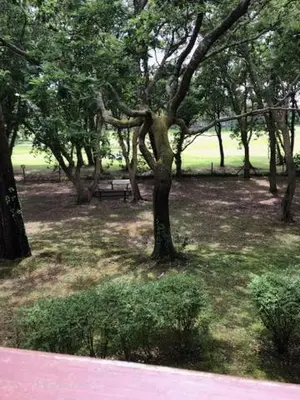 Jardin de l'établissement T2 près de la plage et du Club House du Golf