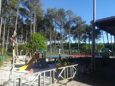 Piscine de l'établissement CHALET 5p tout confort bias mimizan dans village vacances ou située à proximité