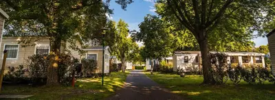 Jardin de l'établissement La Réserve 4 étoiles à Gastes emplacement 147 2CH 1SDB 6 personnes