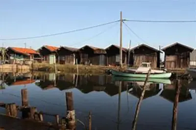 Vue sur la rivière ou le fleuve situé(e) à proximité de l'appartement