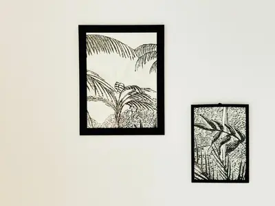 Plan de l'établissement Jungle Room, centre ville Dax