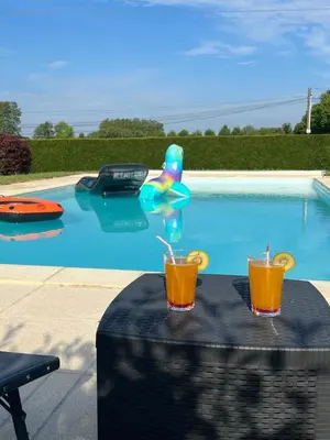 Piscine de l'établissement La villa Landaise avec piscine ou située à proximité