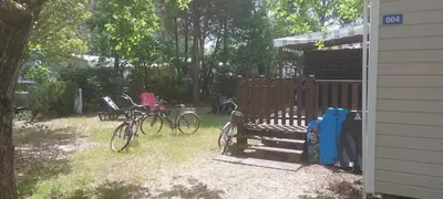 Jardin de l'établissement La Lette fleurie - Mobil home Spacieux climatisé 6-8 personnes tout équipé en camping 4 étoiles