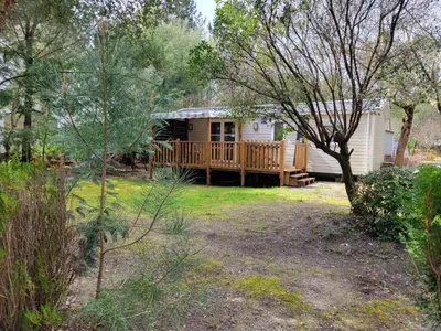 Jardin de l'établissement La Lette fleurie - Mobil home Spacieux climatisé 6-8 personnes tout équipé en camping 4 étoiles