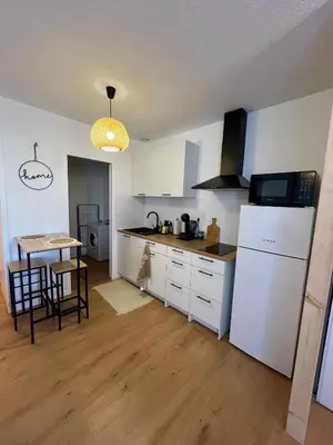 Cuisine ou kitchenette dans l'établissement Studio Le petit Larros