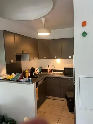 Cuisine ou kitchenette dans l'établissement Appartement