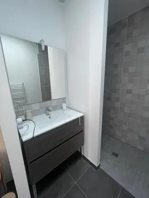 Salle de bains dans l'établissement La pomme de pin