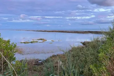 Plan de l'établissement Climatisation, Piscine chauffée, Pétanque, Calme sur le Bassin d'Arcachon