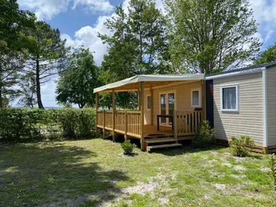 Jardin de l'établissement Mobil-home