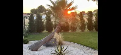 Jardin de l'établissement Chambre d hôte village aéronautique Biscarrosse