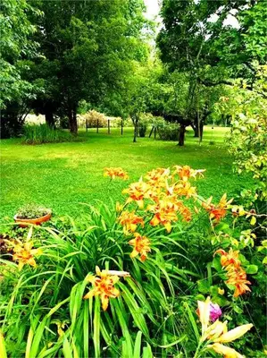 Jardin de l'établissement Gîte Villa LORTIN