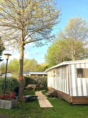 Jardin de l'établissement Mobilhome neuf au camping La Réserve