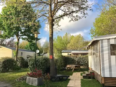 Jardin de l'établissement Mobilhome neuf au camping La Réserve