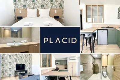 Cuisine ou kitchenette dans l'établissement Le Safari - Neuf - Parking Privé - Calme - Wifi - Clim