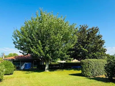 Jardin de l'établissement Villa piscine à 5 min de l'océan