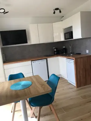 Cuisine ou kitchenette dans l'établissement Joli T2 vue lac, entièrement rénové
