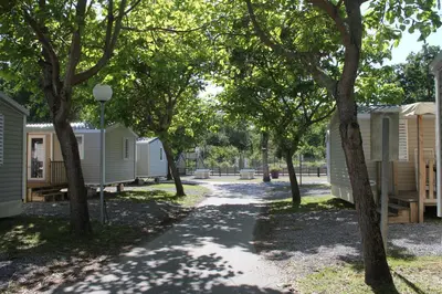 Plan de l'établissement Camping Officiel Siblu La Pointe