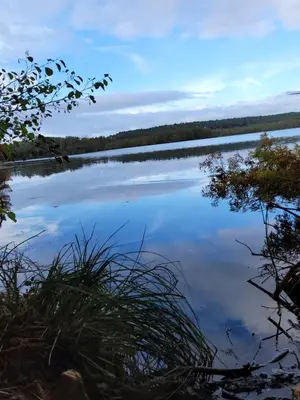 Paysage naturel près de la maison de vacances