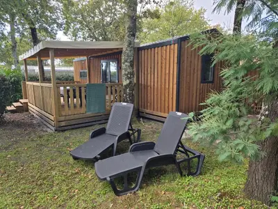 Jardin de l'établissement Cottage Les 2 Chardon