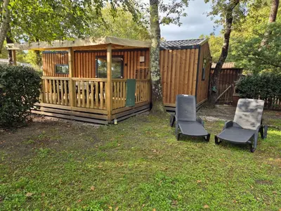 Jardin de l'établissement Cottage Les 2 Chardon
