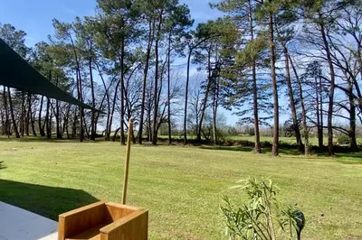 Jardin de l'établissement Gîte La Lande en Pays Basque