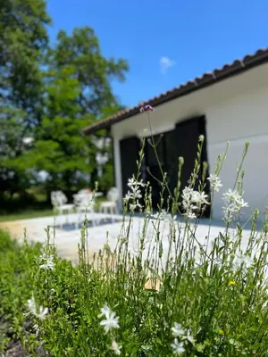 Jardin de l'établissement Domaine de Bouhémy