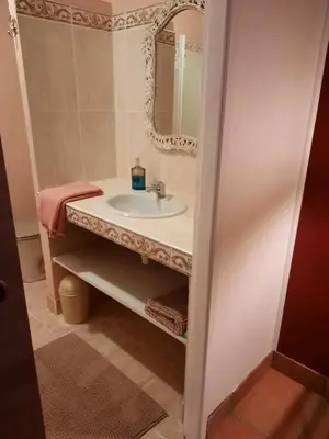 Salle de bains dans l'établissement Gite le Trouilh