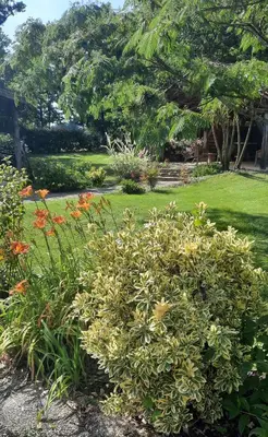 Jardin de l'établissement Gite le Trouilh