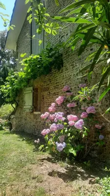 Jardin de l'établissement Gite le Trouilh
