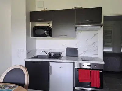 Cuisine ou kitchenette dans l'établissement Cosy