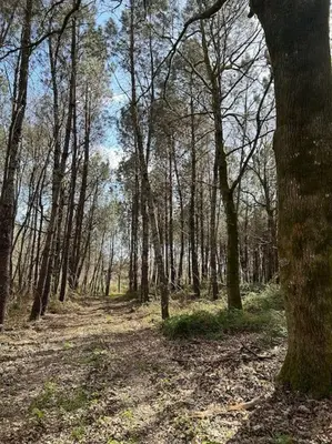 Plan de l'établissement Location La Grange de Routgé - 4 étoiles
