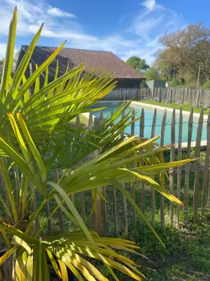 Paysage naturel près de la maison de vacances