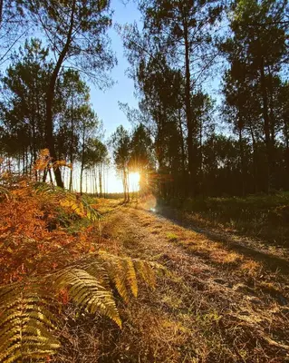 Paysage naturel près de la maison de vacances
