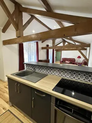 Cuisine ou kitchenette dans l'établissement Larchet