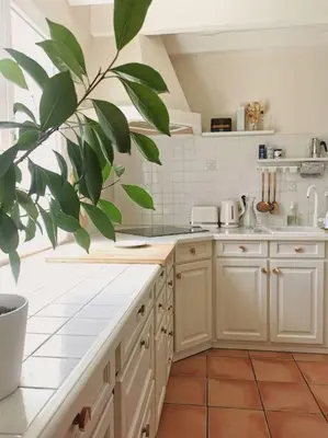 Cuisine ou kitchenette dans l'établissement Maison au bord du lac, les pieds dans l'eau