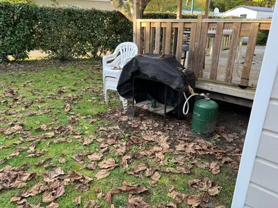 Animal ou animaux domestique(s) séjournant avec des clients dans l'établissement mobilhome 4 étoiles