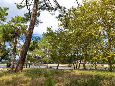 Paysage naturel près de l'appartement