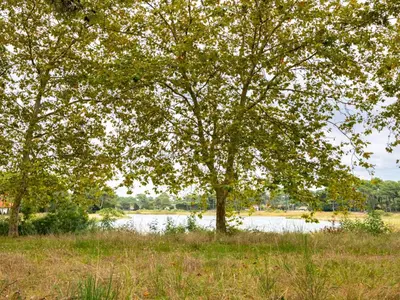 Paysage naturel près de l'appartement