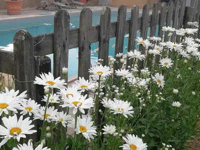 Jardin de l'établissement Le Chai de Serres