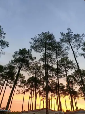 Paysage naturel près de le camping