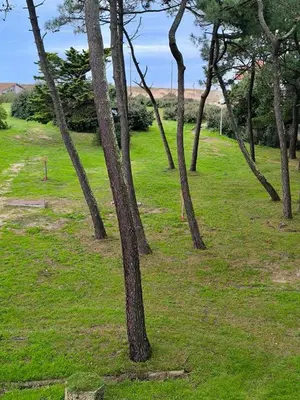 Paysage naturel près de l'appartement