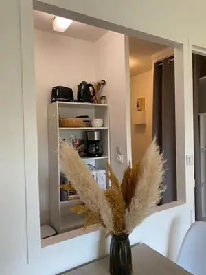 Cuisine ou kitchenette dans l'établissement Location à Dax - résidence thermale Borda