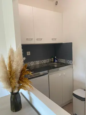 Cuisine ou kitchenette dans l'établissement Location à Dax - résidence thermale Borda