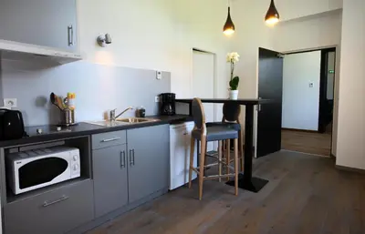 Cuisine ou kitchenette dans l'établissement Domaine de L'Esperon